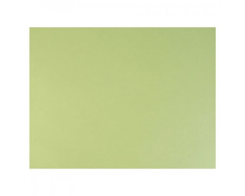 Бумага для пастели (1 лист) FABRIANO Tiziano А2+(500*650мм), 160г/м2, салат. теплый, 52551011