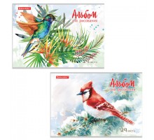 Альбом для рисования А4 24 л., скоба, обложка картон, BRAUBERG, 202х285 мм, "Райские птички" (2 вида), 105609