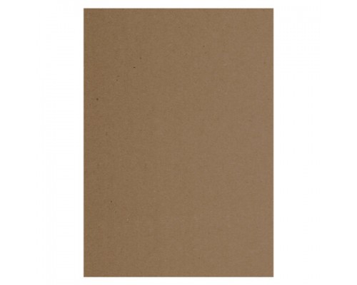 Крафт-бумага для графики, эскизов, печати, А4(210х297мм), 80г/м2, 200л, BRAUBERG ART CLASSIC,112485