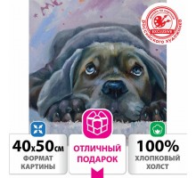 Картина по номерам 40х50 см, ОСТРОВ СОКРОВИЩ "Мечтай!", на подрамнике, акрил, кисти, 662904