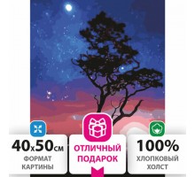 Картина по номерам 40х50 см, ОСТРОВ СОКРОВИЩ "Звездная ночь", на подрамнике, акриловые краски, 3 кисти, 662495