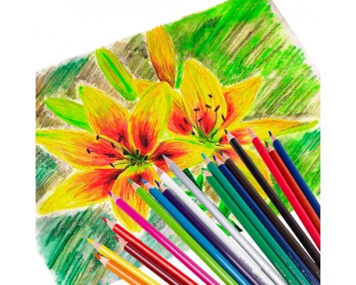 Карандаши цветные BRAUBERG PREMIUM, 18 цветов, трехгранные, грифель мягкий 3,3 мм, 181652