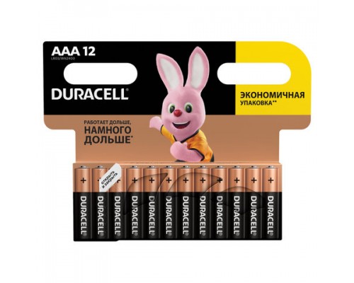 Батарейки КОМПЛЕКТ 12 шт, DURACELL Basic, AAA(LR03, 24А),алкалиновые,мизинчиковые,блистер,(ш/к 9254)