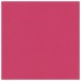 Картон цветной А4 немелованный ВОЛШЕБНЫЙ, 10л. 10цв., в папке, ПИФАГОР, 200х290мм, Лисенок, 129912