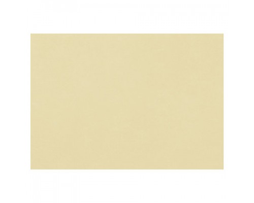 Бумага для пастели (1 лист) FABRIANO Tiziano А2+(500*650мм), 160г/м2, песочный, 52551006