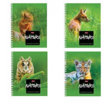 Тетрадь А5, 48 л., HATBER, гребень, клетка, обложка картон, "WILD NATURE" (4 вида), 48Т5В1гр, T243190