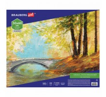 Холст на картоне BRAUBERG ART CLASSIC, 50*60см, грунтованный, 100% хлопок, мелкое зерно, 190623