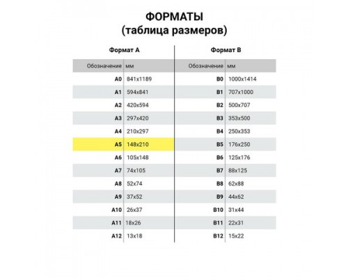 Тетрадь предметная КЛАССИКА XXI 48л, обложка картон, РУССКИЙ ЯЗЫК, линия, подсказ, BRAUBERG, 403949