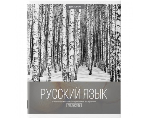 Тетрадь предметная КЛАССИКА XXI 48л, обложка картон, РУССКИЙ ЯЗЫК, линия, подсказ, BRAUBERG, 403949