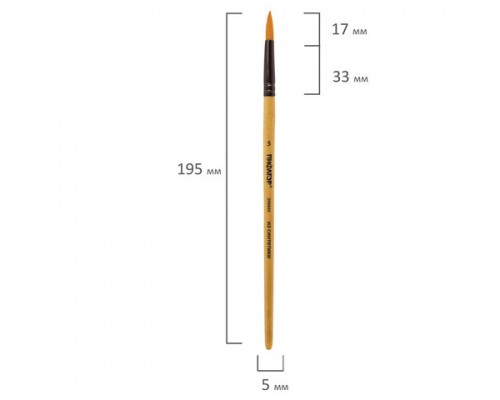 Кисть ПИФАГОР, СИНТЕТИКА, круглая, № 5, деревянная лакированная ручка, с колпачком, 200845