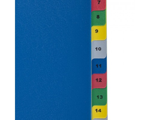 Разделитель пластиковый широкий BRAUBERG А4+, 20 листов, цифровой 1-20, оглавление, цветной, 225623