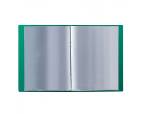 Папка  20 вкладышей BRAUBERG стандарт, зеленая, 0,6мм, 221593