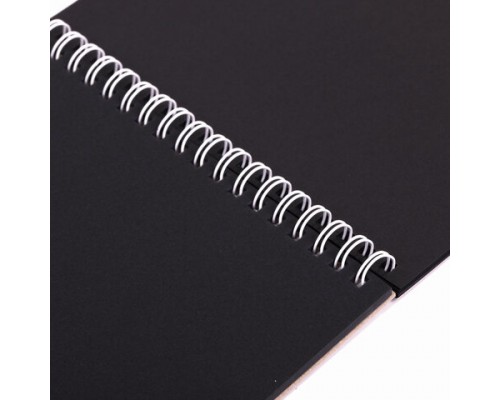 Скетчбук, черная бумага 120 г/м2, 170х195, 30л, гребень, цветная фольга, твин лак, Тигр, 97699