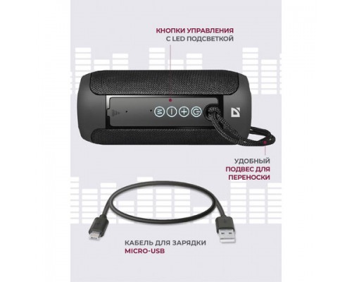 Колонка портативная DEFENDER Enjoy S700, 2.0, 10Вт,Bluetooth,FM-тюнер,USB,microUSB,micro SD, черная
