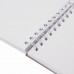 Скетчбук, белая бумага 160г/м2, 145х205мм, 30л, гребень, жёсткая подложка, BRAUBERG ART DEBUT,110989