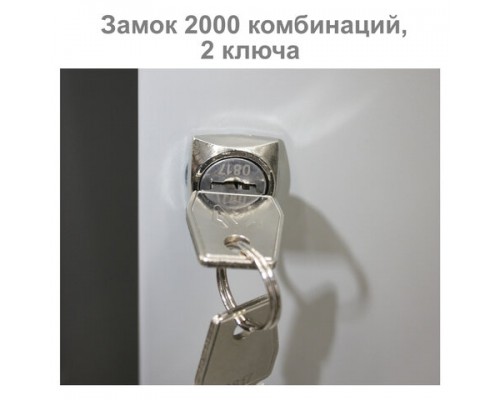 Шкаф металлический для одежды BRABIX LK 11-30, 1 секция, (в1830*ш300*г500мм;18кг), 291127