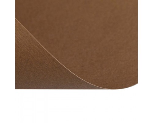 Бумага для пастели (1 лист) FABRIANO Tiziano А2+(500*650мм), 160г/м2, кофейный, 52551009