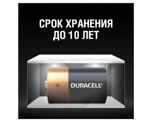 Батарейки DURACELL Basic, D (LR20, 13А), алкалиновые, КОМПЛЕКТ 2 шт, блистер (ш/к 2512)