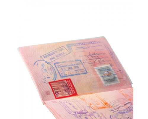 Обложка для листа паспорта, 128х87 мм, ПВХ, прозрачная, ДПС, 1361