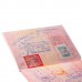 Обложка для листа паспорта, 128х87 мм, ПВХ, прозрачная, ДПС, 1361