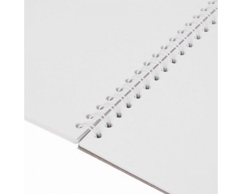 Скетчбук, акварельная белая бумага 200г/м ГОЗНАК, 205х290мм, 20л,гребень подложка BRAUBERG ART DEBUT