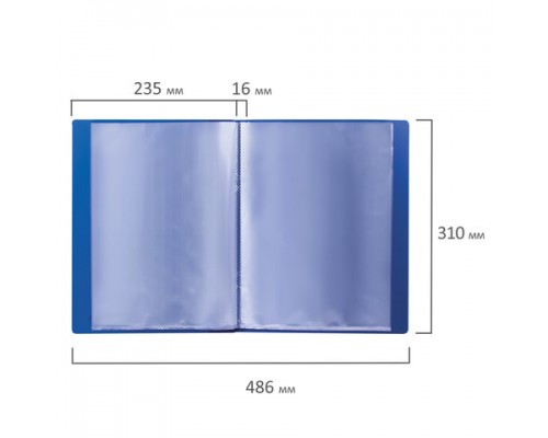 Папка  20 вкладышей BRAUBERG стандарт, синяя, 0,6мм, 221595