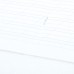 Тетрадь 12л. BRAUBERG КЛАССИКА NEW косая линия с доп. горизонтальной, обл. картон, ЗЕЛЕНАЯ, 105687
